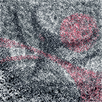 Na granicy światów 03